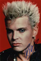 Billy Idol signed autographs