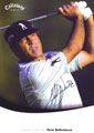 Seve Ballesteros signed autographs