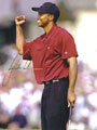 Tiger Woods autographs